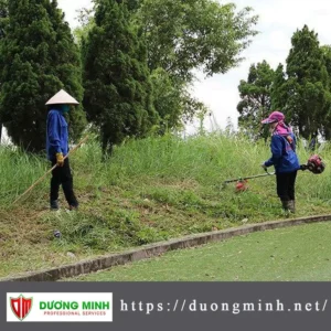 Phát hoang cỏ dại