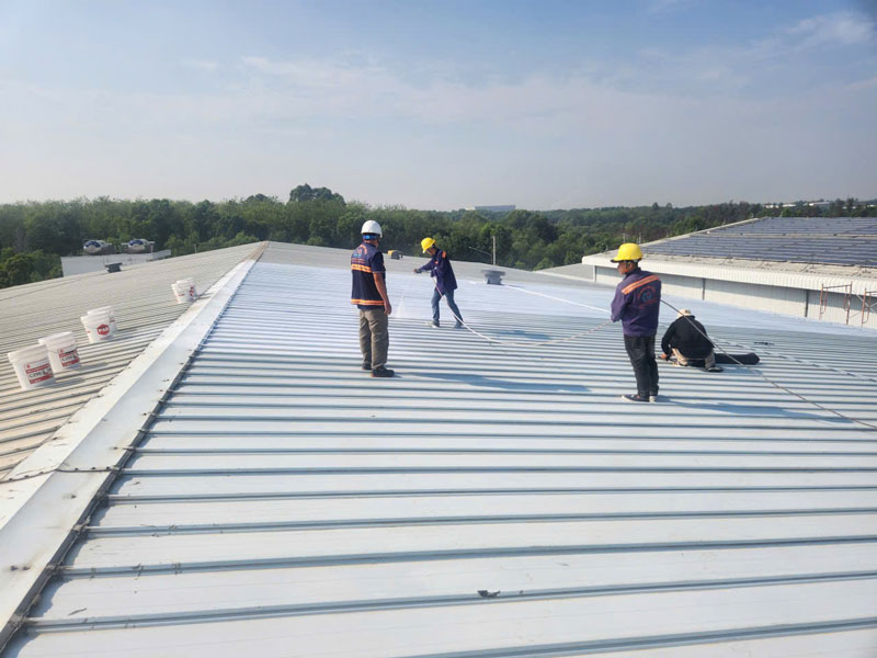 Top 5 dịch vụ vệ sinh mái tôn nhà xưởng chuyên nghiệp tại tphcm